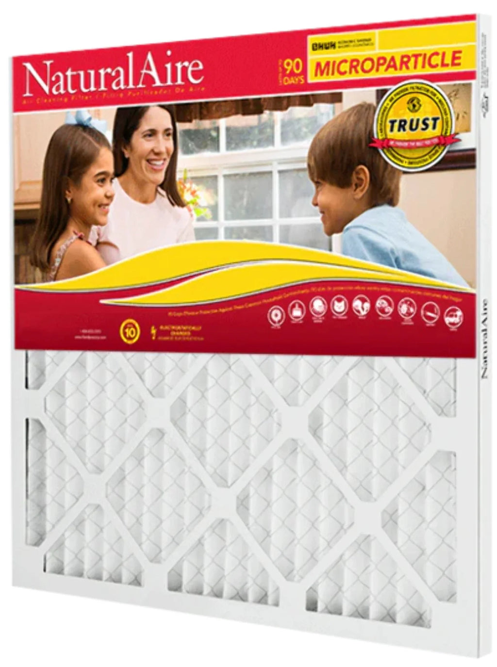 Filters pack) 85256.011010 10 NaturalAire 10x10x1 (6 MERV Microparticle