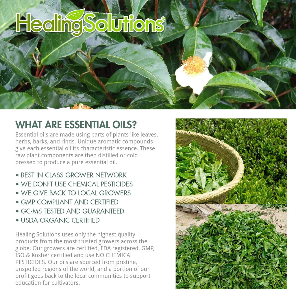 Healing - - Solutions Grade Tree Tea Essential Therapeutic Best 100% Pure, (60ml) Oil 60ml/2oz Oil