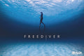 Catalina Advance Course | PADI Freediver Island