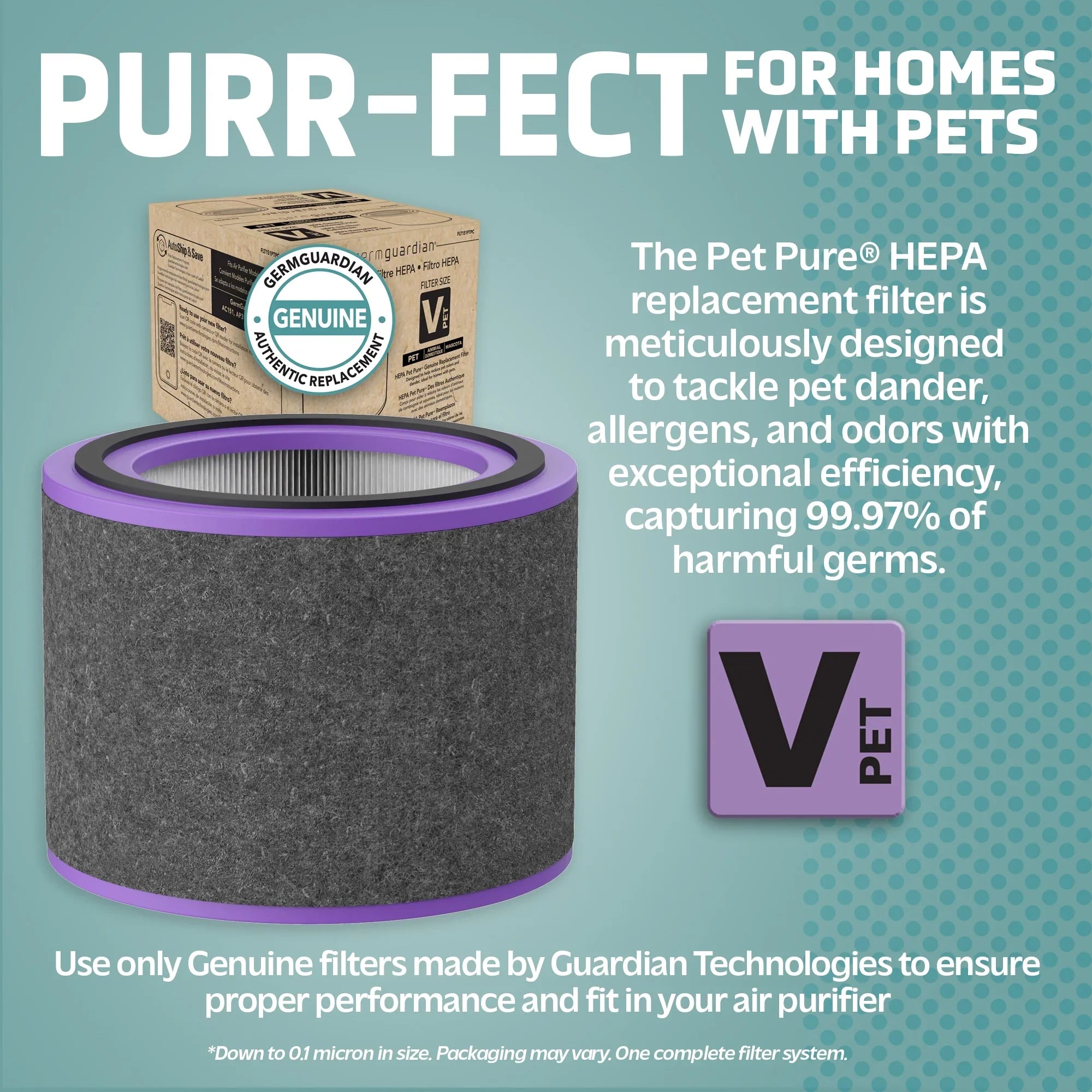 Filter FLT151PT Pet HEPA and AC151 Pure Air Filter Replacement Purifiers, Guardian AirSafe Germ for V Genuine