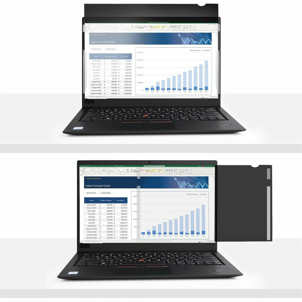 Filter 16:9 17.3" 173LPRIVACYSCREEN Laptop StarTech Privacy
