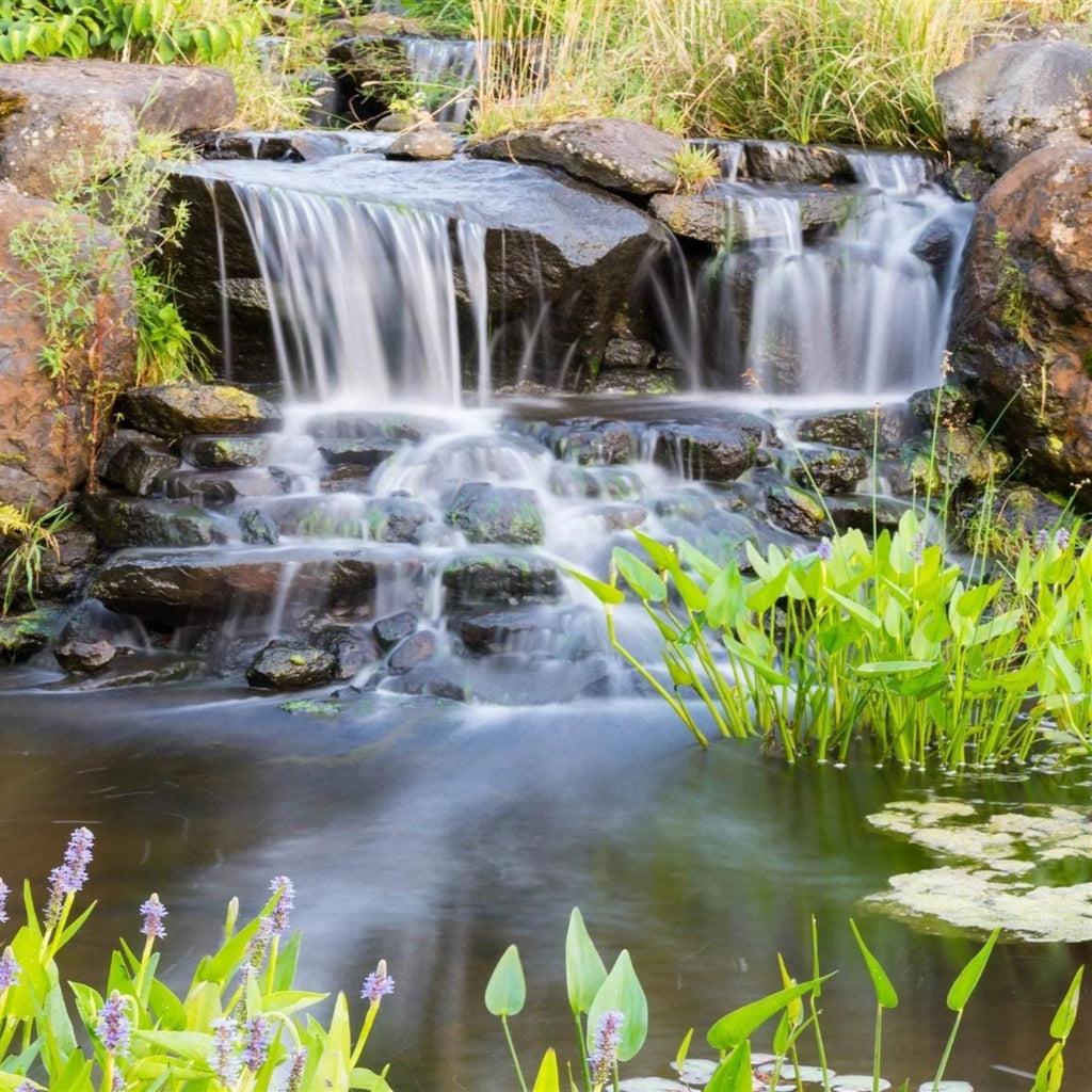 10,500 - Gardens, PN-10500 Series Piranha for OFF GPH HALF Direct Water PONDS Pump Ponds Drive Submersible Waterfalls and