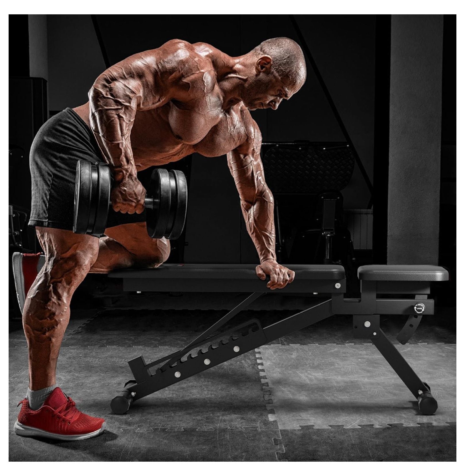 and and Workouts, Bench Weight Lifting, Capacity and Press Strength Fitness Major for Adjustable Weight Positions Gym Bench,1300 Press Bench Training 32 Garage Bench Home LBS