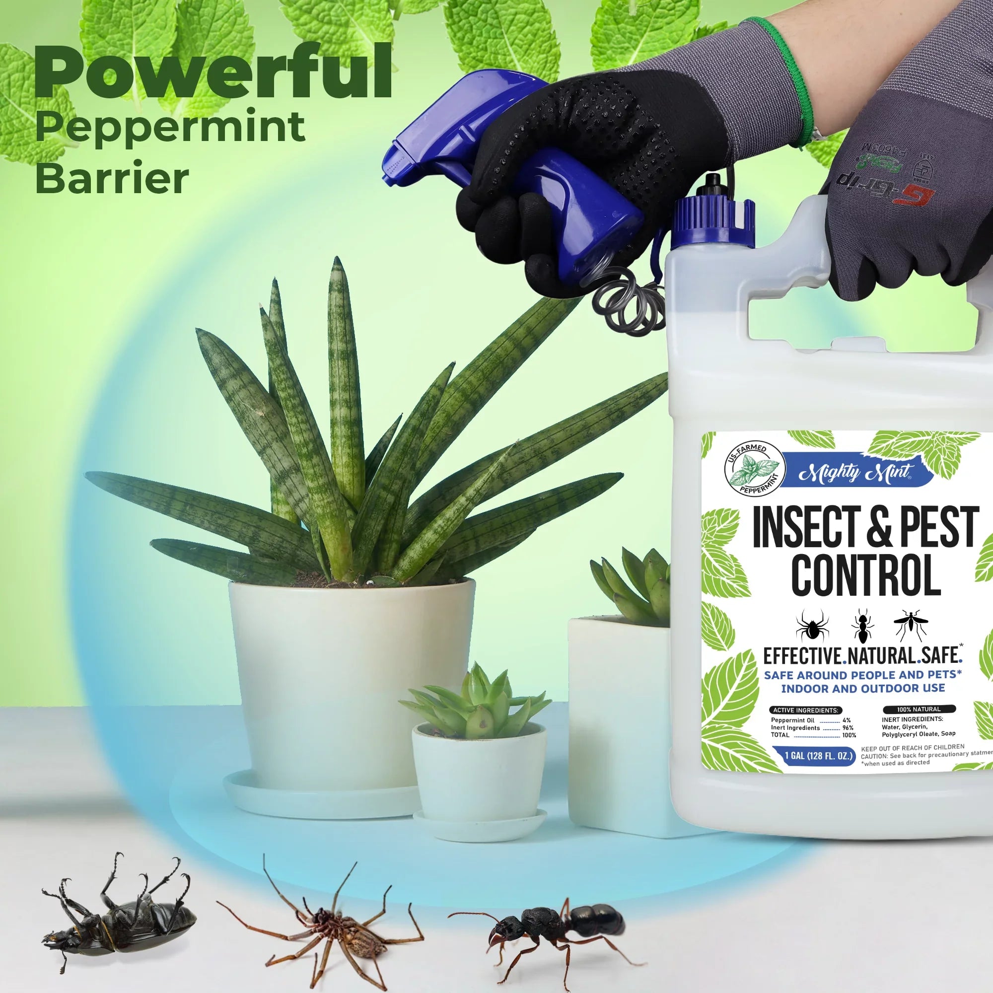 Insect for & Gallon Oil Spiders, Mighty Mint and oz) (128 Pest More Ants, Peppermint Spray Control