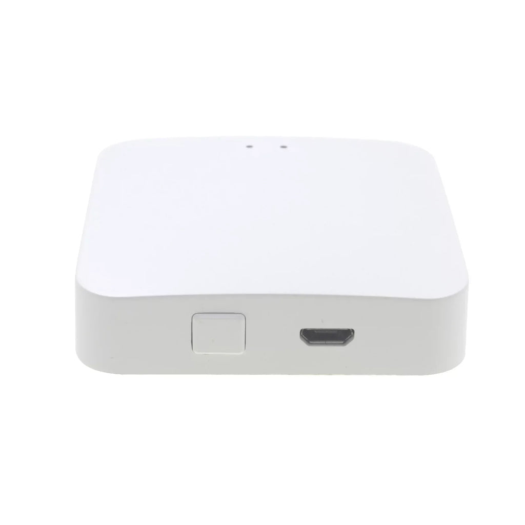 Adben Voice Voice Dsfen Gateway,Hub Remote Compatible Iuppa Havou With GoolRC Compatible Remote Voice 3.0 Lanru Smart
