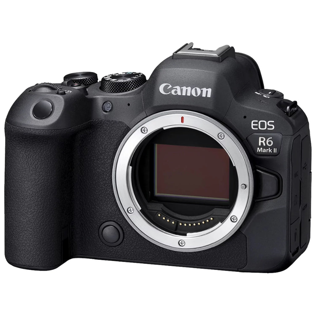 Mirrorless + Flash EOS Mark 64GB + Lens Accessory with RF + SanDisk + + EF 75-300mm Memory 24-105mm II Case ZeeTech Canon R6 LED Bundle Card Camera