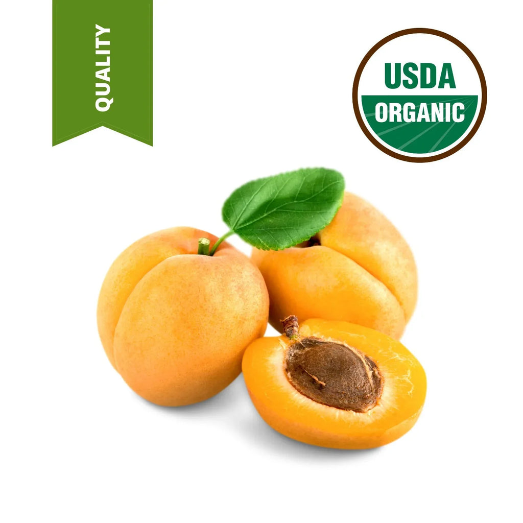 4 Apricot Organic Lbs Fresh pure 100% oil Kernel from cold pressed oil