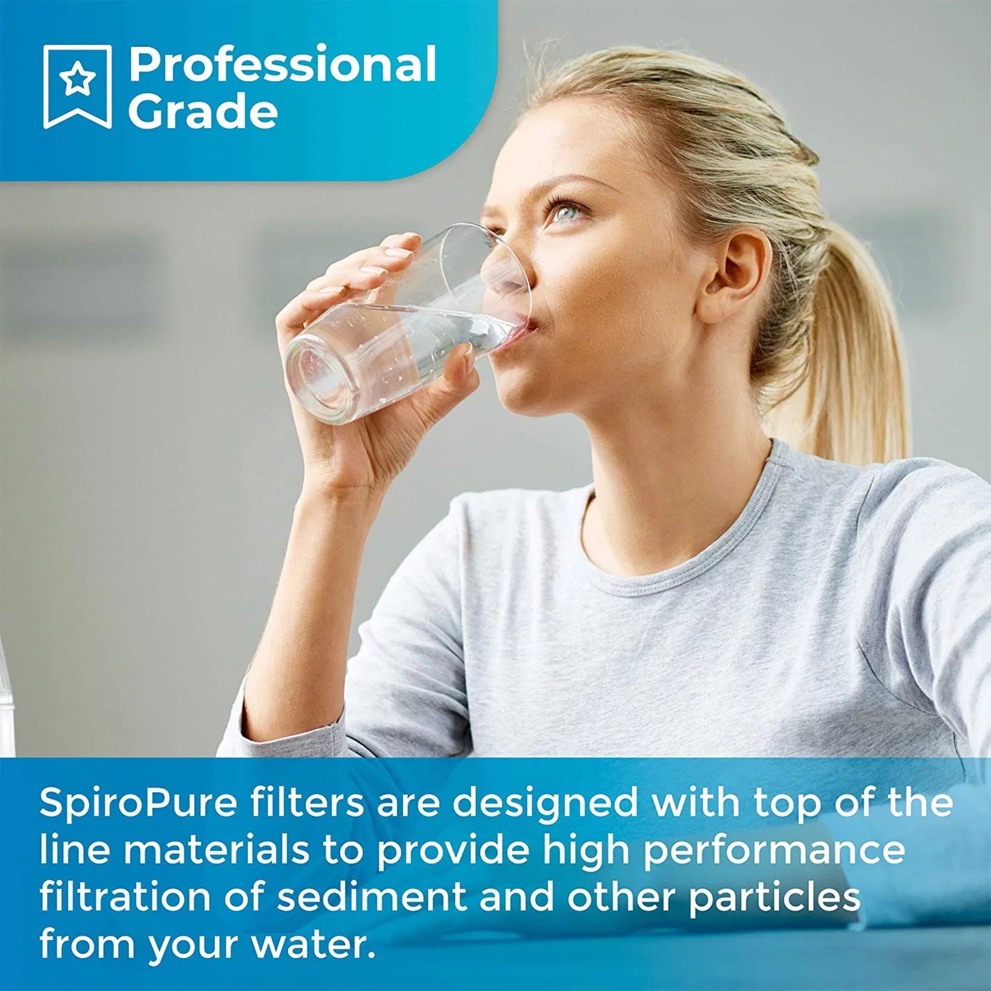Micron 2.5" Cartridge, Pleated 10 Filter SpiroPure Polyester Pack) 30 x (24