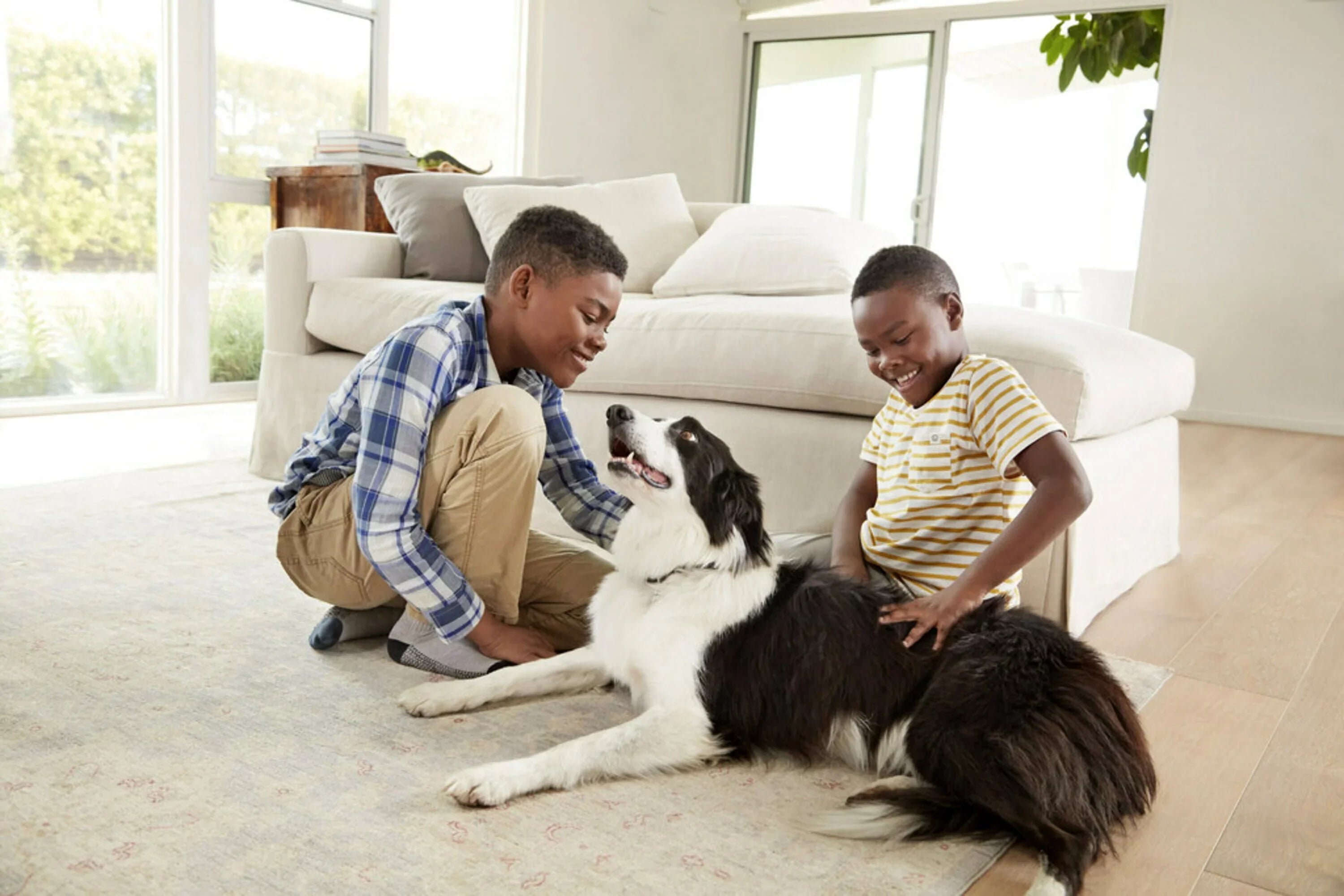 & HVAC Filtrete Home Premium Smart Filter, 2200 1 Pollutants 1 x Filter and MPR, inch Air Allergen x Furnace 20 25
