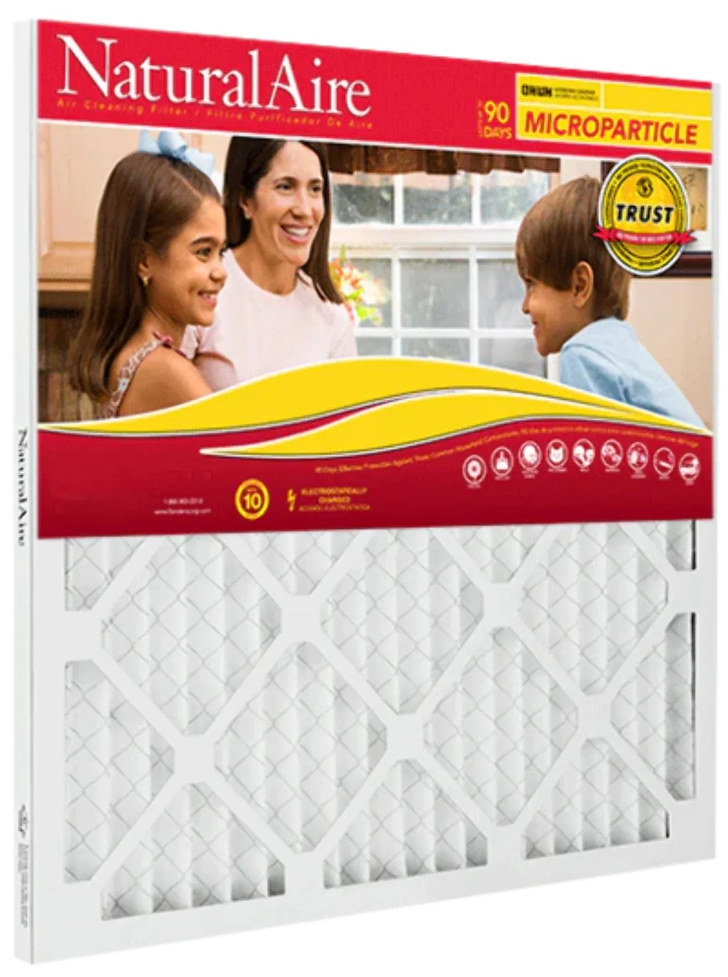 Filters pack) 85256.011010 10 NaturalAire 10x10x1 (6 MERV Microparticle