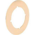 Plate Cover 3-1/2 U In 9524 Pltd Brs