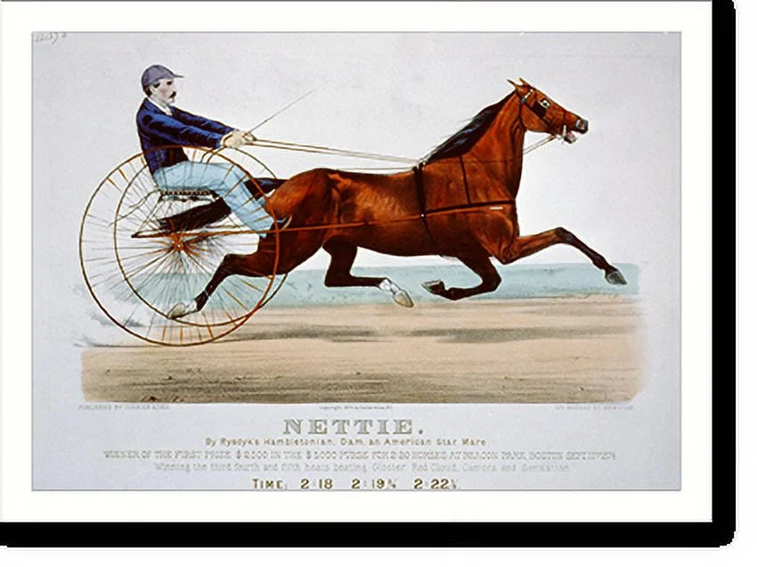 21-7/8" American Nettie: dam, Framed x Hambletonian, mare, Print, 17-7/8" Historic and Rysdyk's star by