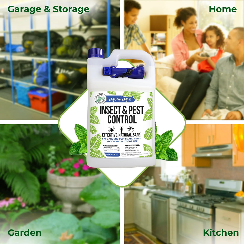 Insect for & Gallon Oil Spiders, Mighty Mint and oz) (128 Pest More Ants, Peppermint Spray Control