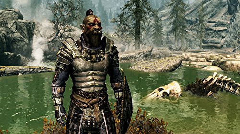 Skyrim (Nintendo V: Elder The Scrolls Switch)
