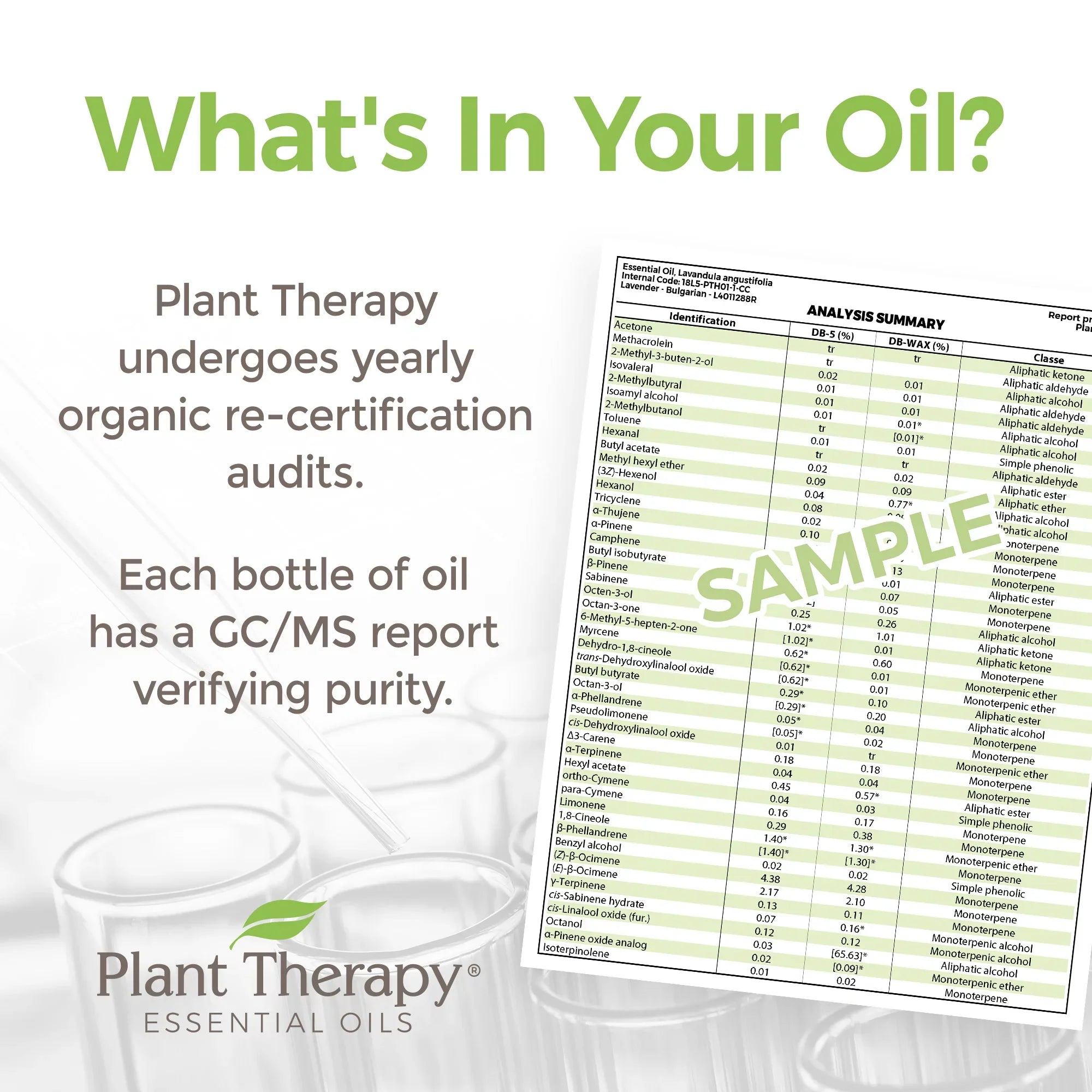 Therapy Plant mL 100 Oil Globulus Eucalyptus oz) (1/3 Organic Essential