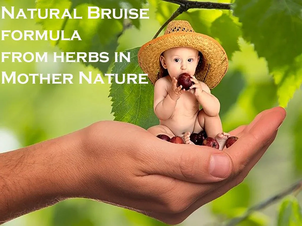ONE pack- bruise NO by BruiseGONE Natural healing CREAM, WEEK, Speeds bruise 3 remedy