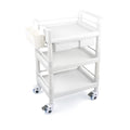 Salon Tier Trolley Buckets Lbs Beauty 3 Dental Mobile Trolley 360¡ãRotate Hospital Medical Wheels Clinic Spacious 500 Cart Medical Rolling Dirt Utility with Drawers Cart for Heavy Duty