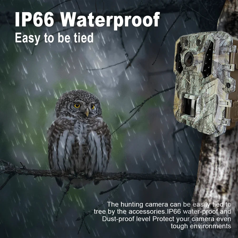 Vision Waterproof Camera 1080P Wildlife with Cam 24MP Mini Night Trail Hunting