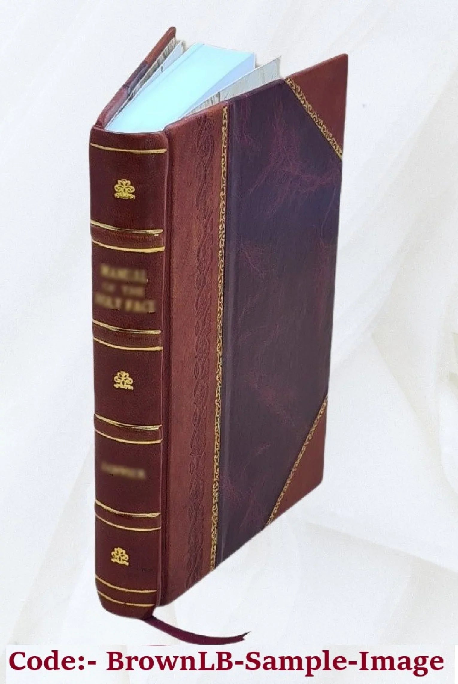 [Leather London its marks and history, Old Bound] 1903 its silver, its makers
