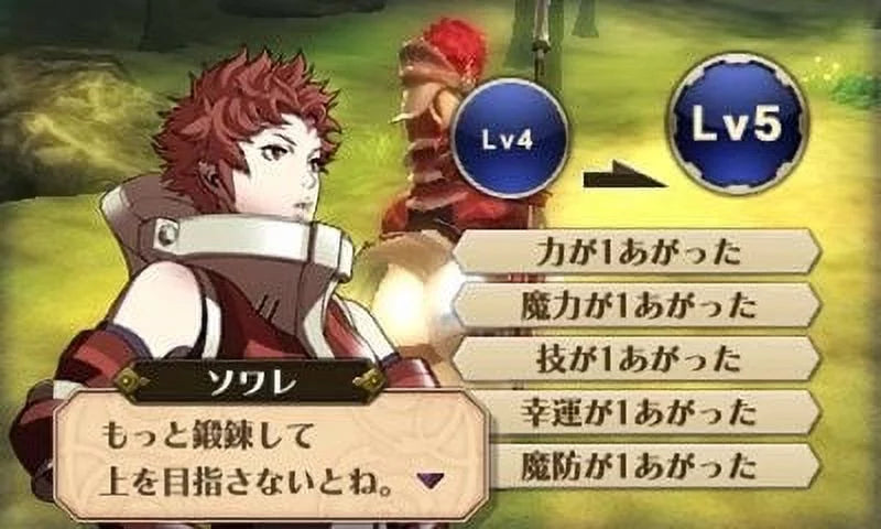 Emblem Fire Awakening Nintendo Nintendo 3DS 045496742355