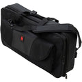 CD/MP3 DJ FZGSP12CDJW Odyssey Remixer Coffin Case