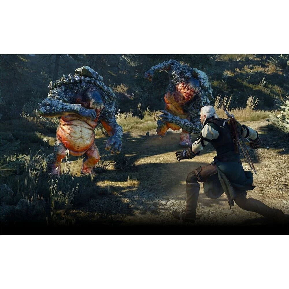 Hunt PlayStation Witcher 5 Edition - Wild Complete The PlayStation 4, 3: