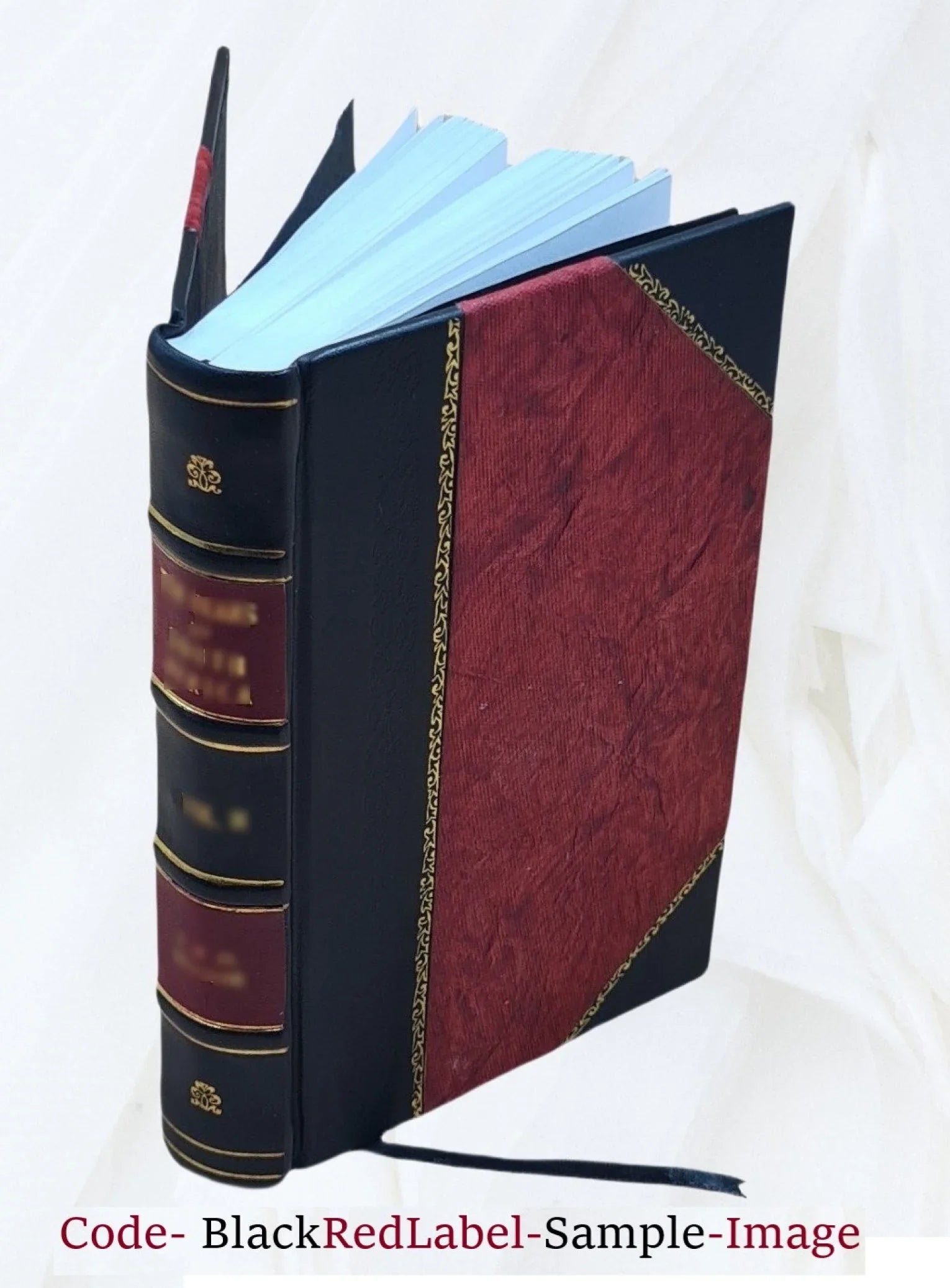 1922 E. a Bound] trail story of [Leather yellow Boddy. The River Salmon / gold : Manchester by