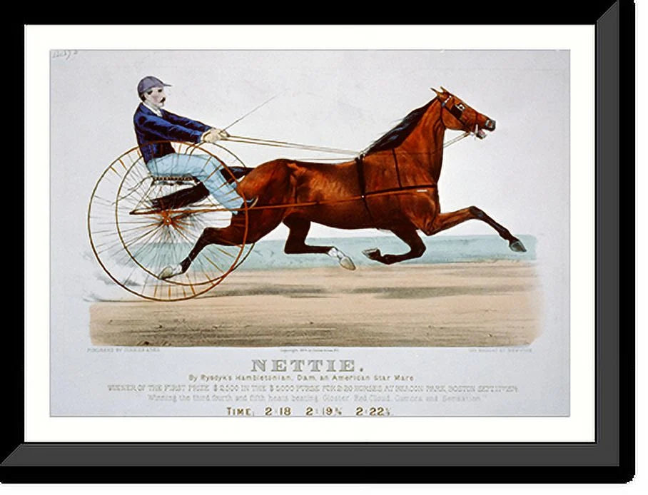 21-7/8" American Nettie: dam, Framed x Hambletonian, mare, Print, 17-7/8" Historic and Rysdyk's star by