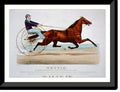 21-7/8" American Nettie: dam, Framed x Hambletonian, mare, Print, 17-7/8" Historic and Rysdyk's star by