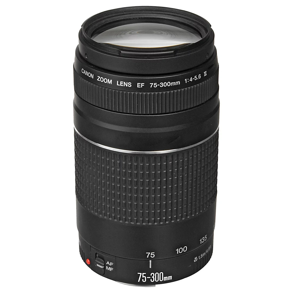Mirrorless + Flash EOS Mark 64GB + Lens Accessory with RF + SanDisk + + EF 75-300mm Memory 24-105mm II Case ZeeTech Canon R6 LED Bundle Card Camera