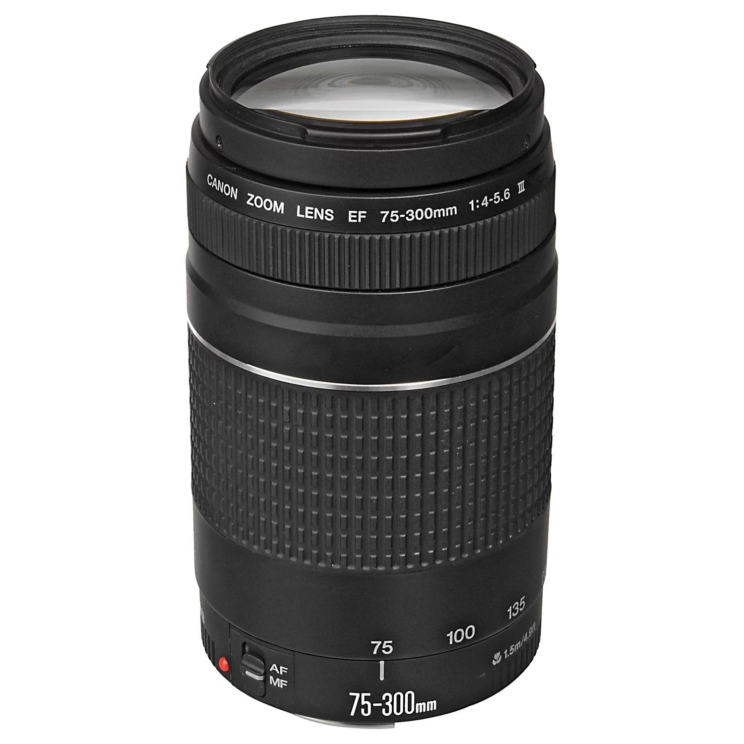 Mirrorless + Flash EOS Mark 64GB + Lens Accessory with RF + SanDisk + + EF 75-300mm Memory 24-105mm II Case ZeeTech Canon R6 LED Bundle Card Camera