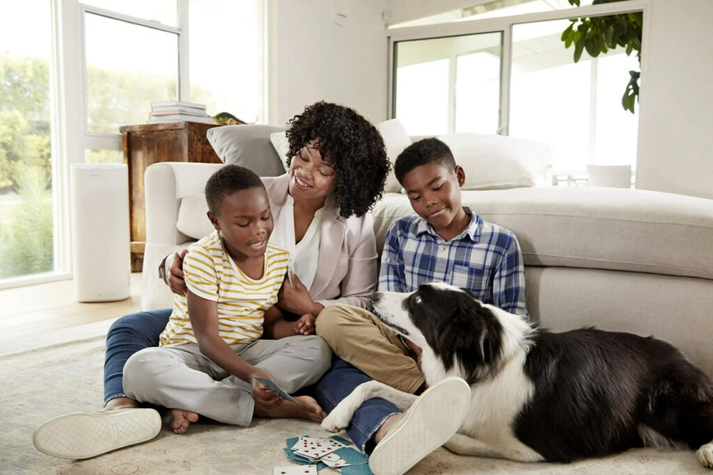 & HVAC Filtrete Home Premium Smart Filter, 2200 1 Pollutants 1 x Filter and MPR, inch Air Allergen x Furnace 20 25