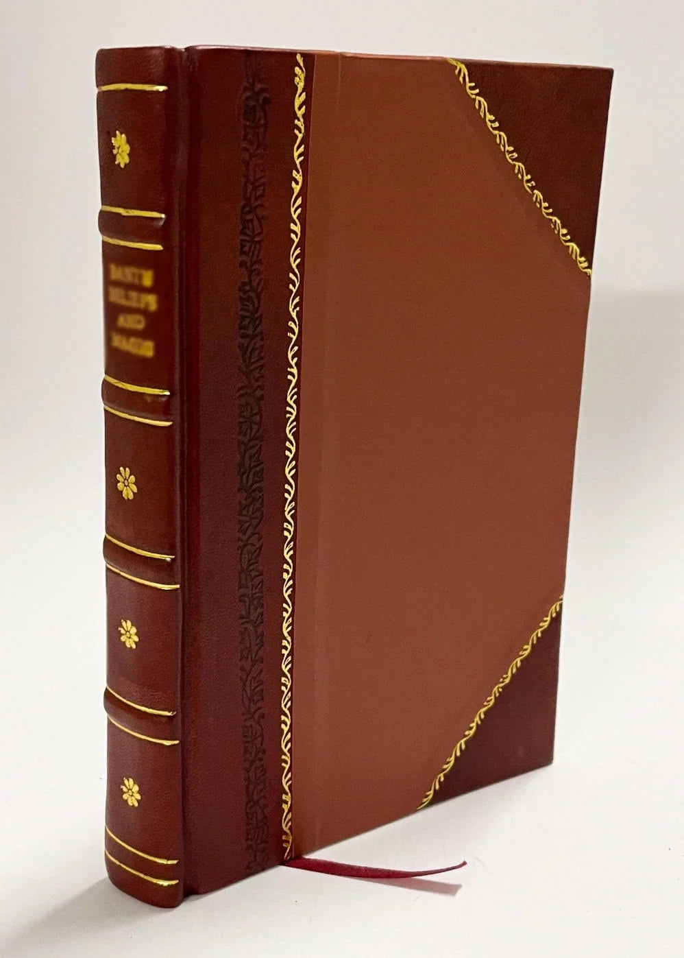 Alcides Charlotte a (1875) 2 [Leather My Bound] Volume Faded Photograph Mary Young : Yonge, / (1875)